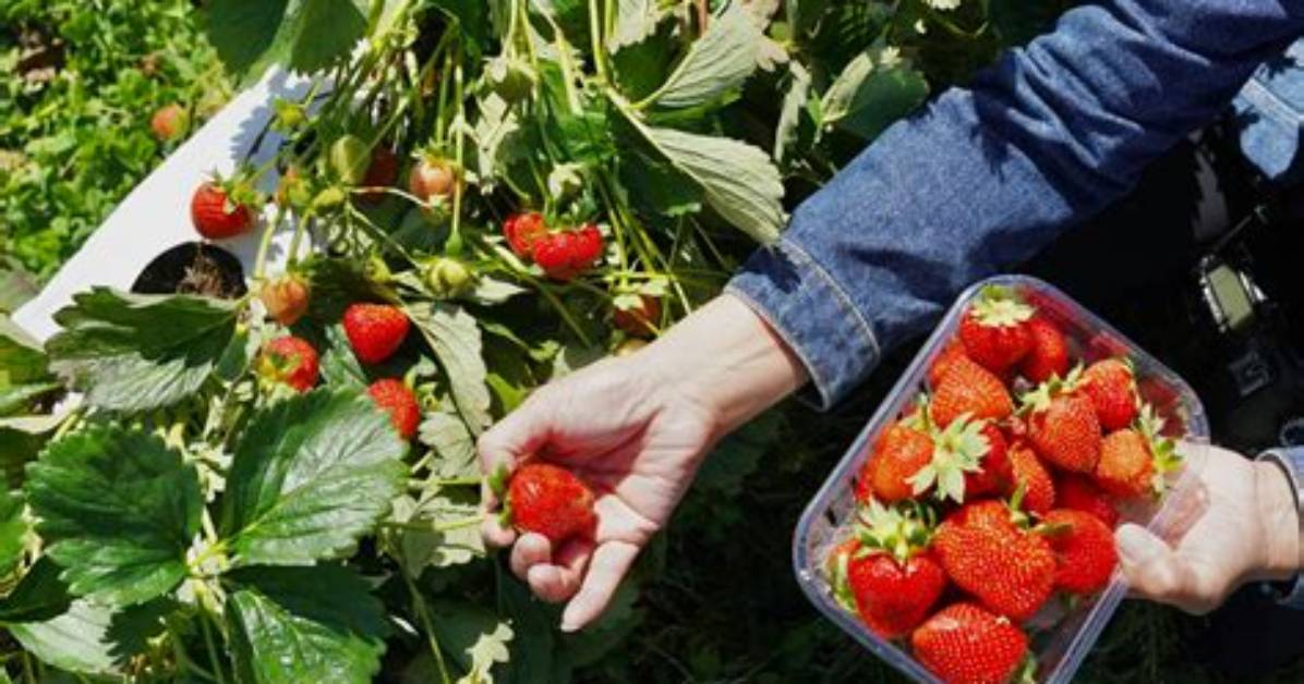 Skip the Games Greensboro Nc: Your Guide to Fast and Fun